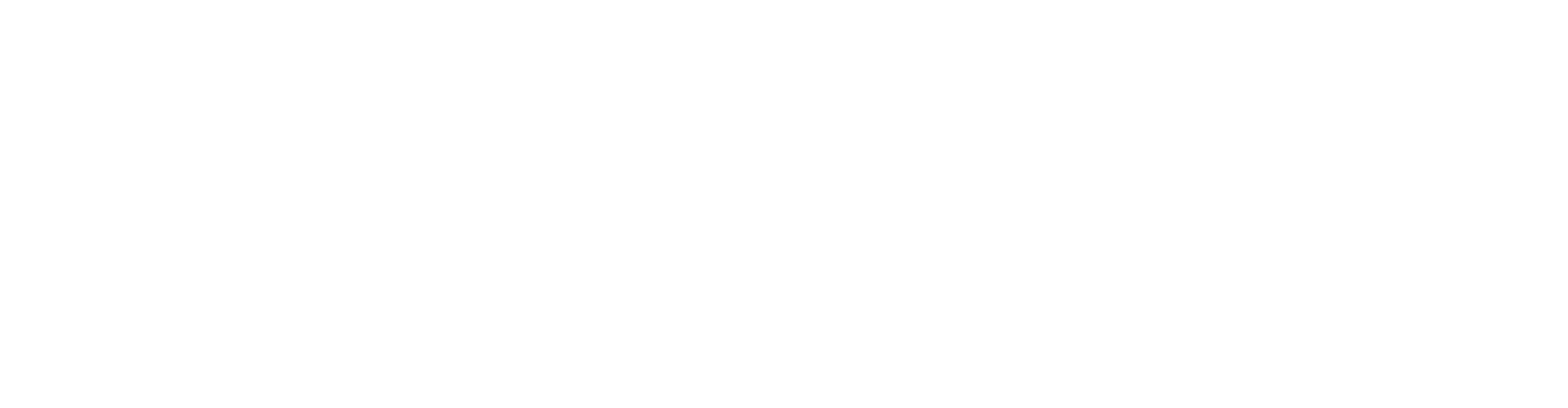 Özcenk Gümrükleme Ltd. beyaz logosu